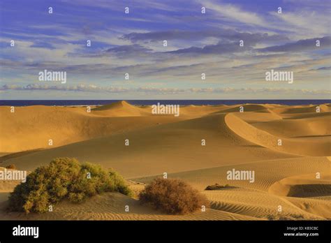 Spain Canary Islands Gran Canaria Sand Dunes Of Maspalomas Stock