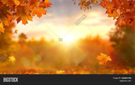 Sunny Autumn Day Image And Photo Free Trial Bigstock