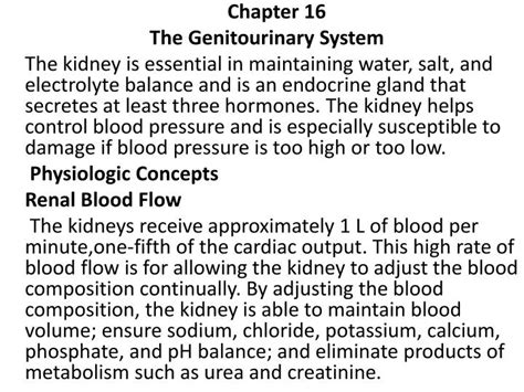 Ppt Chapter The Genitourinary System Powerpoint Presentation Free