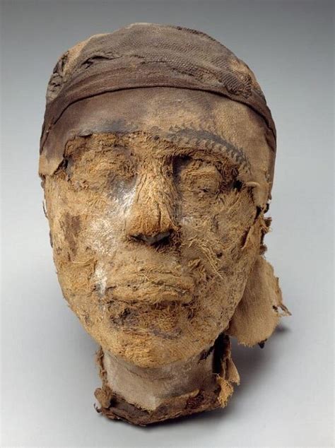 snapshot sandt helps solve mystery of 4 000 year old mummy homeland security