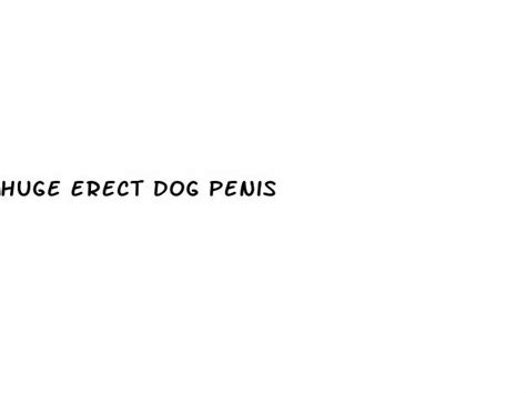 Huge Erect Dog Penis