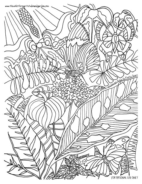 Tropical Rainforest Coloring Pages