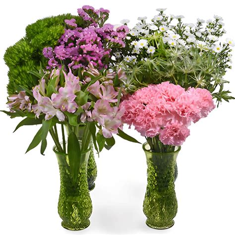 Wholesale Pink Textured Filler Flower Pack ᐉ Bulk Pink Textured Filler