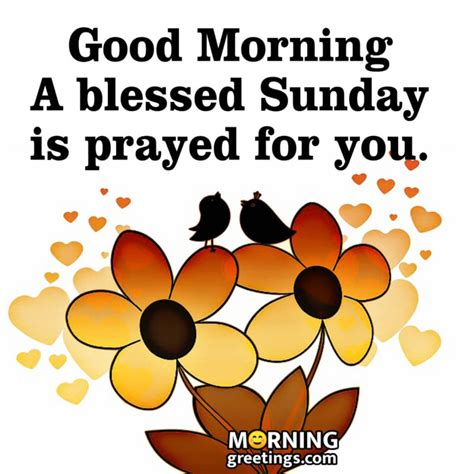 30 super sunday morning blessings morning greetings morning quotes and wishes images