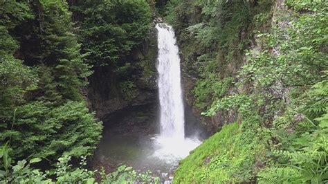 Waterfall In The Middle Of The Forest Free Stock Video