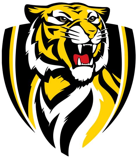 Cool Tiger Logo