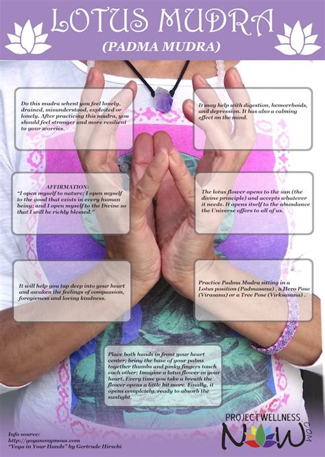 Lotus Mudra Learn Its Benefits Affirmation And Instructions Mudras