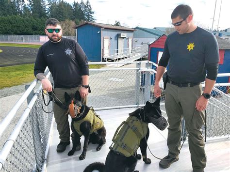 Photos Thurston County Sheriff’s Office K 9 Unit Introduces Newest Additions The Daily Chronicle
