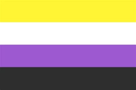 Lgbtq Non Binary Pride Flag 3x5 With Grommets