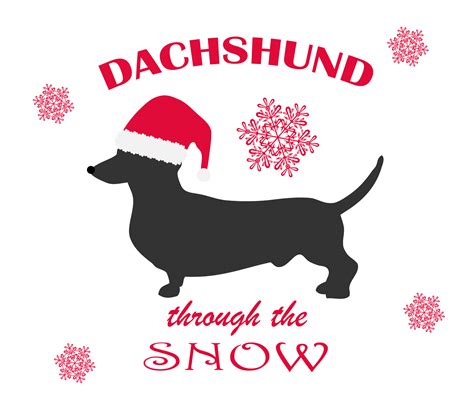 Dachshund Dog Christmas Hat Free Stock Photo Public Domain Pictures