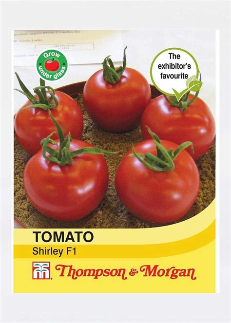 Tomato Shirley F1 Seeds Dobbies Garden Centres