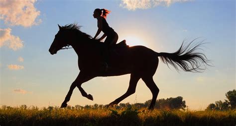 7 Reasons Why Horseback Riding Is The Best Therapy