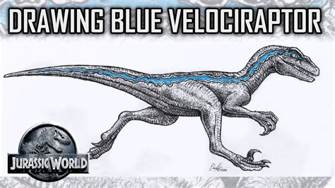 Drawing Skin Details For Blue The Velociraptor From Jurassic World In Fine Liner Marker Time