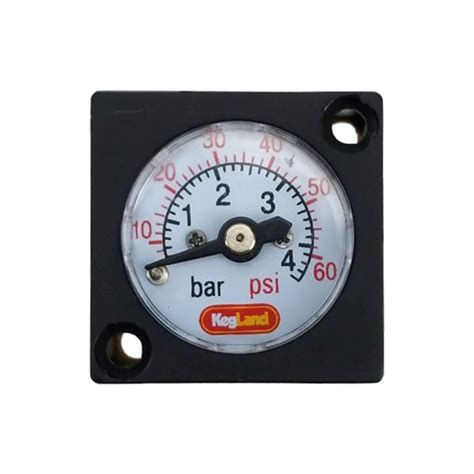 Mini Pressure Gauge 0 60 Psi 0 4 Bar
