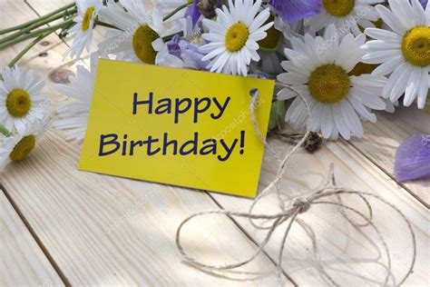 Daisy Flower Birthday Card Free Stock Photo Public Domain Pictures