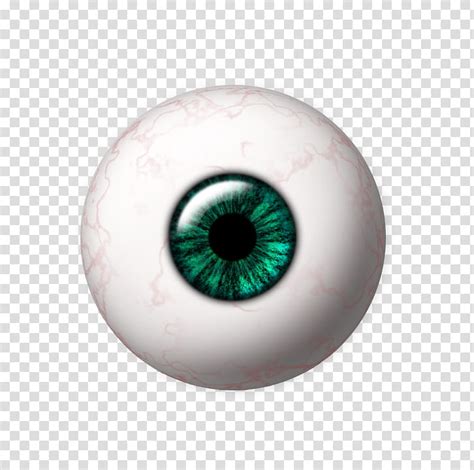 Eyeball Eye Transparent Background Png Clipart Hiclipart