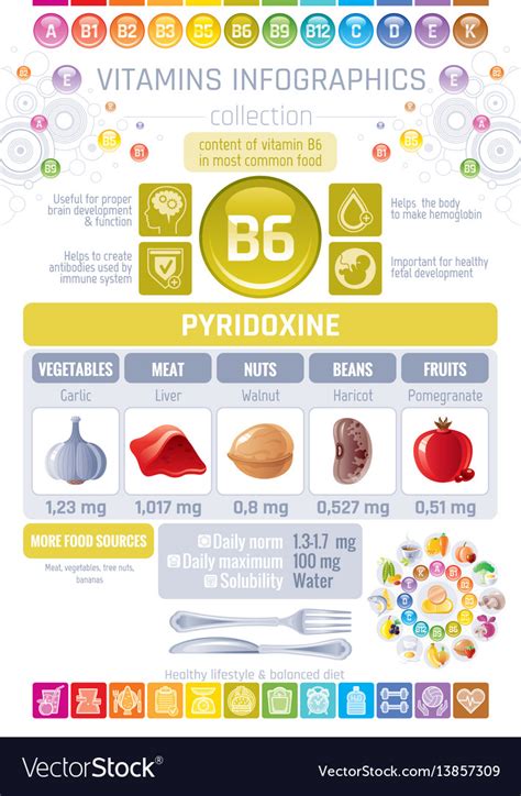 We did not find results for: Pyridoxine vitamin b6 rich food icons healthy Vector Image