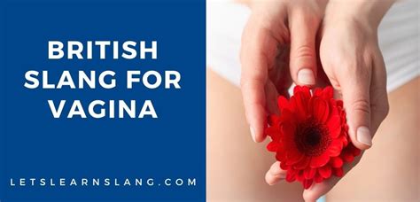 British Slang For Vagina Examples Lets Learn Slang