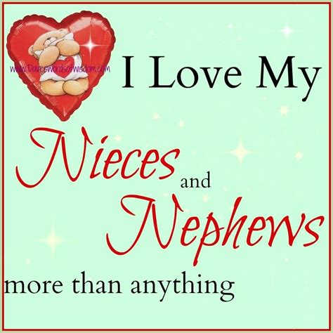 25 I Love My Nephew Quotes And Sayings Images Quotesbae