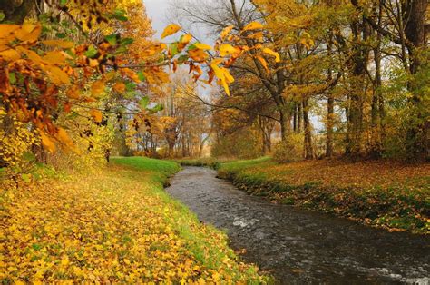 Autumn River Forest Trees Landscape Wallpaper 2144x1424 162668