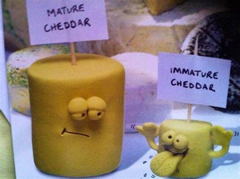 I will always love ewe. 47 best Cheese Jokes images on Pinterest | Cheese jokes ...