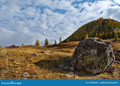 Golden Autumn In Mountain Valleys Stock Photo Image Of Nature Road