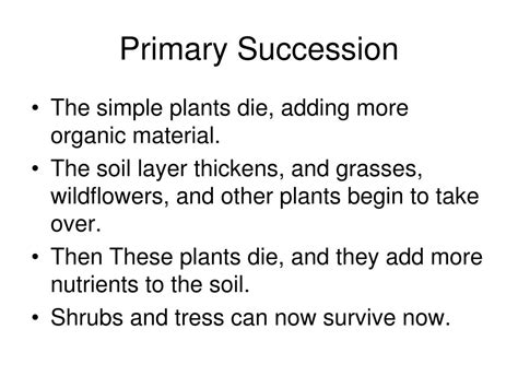 Ppt Ecological Succession Powerpoint Presentation Free Download Id