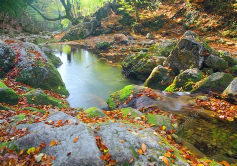 Beautiful River In Autumn Forest — Stock Photo © Hydromet