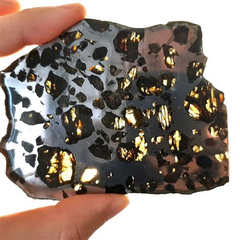Nwa 2957 Meteorite One Of The Best Pallasites In The World Meteolovers