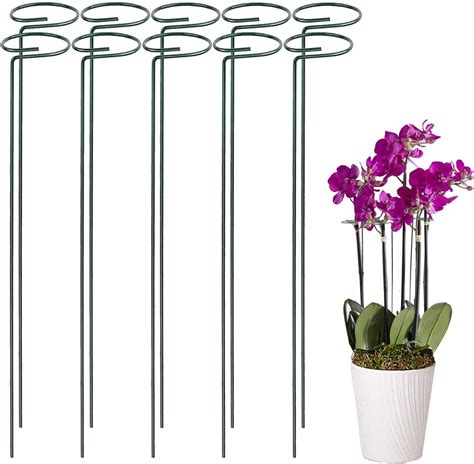 Jjzj 36 Inches Single Stem Plant Support Stakes Steel