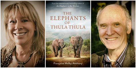 ‘the elephants of thula thula — a jumbo sized love story