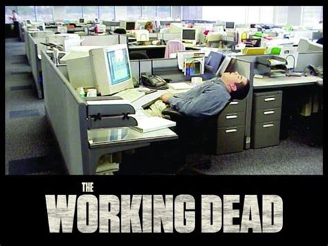 50 Very Funny Work Pictures And Images
