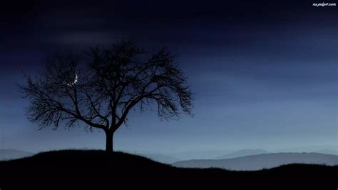 Noc Drzewo Księżyc
