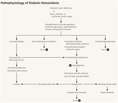 Diabetic Ketoacidosis Pathophysiology Diagram Diagram Resource