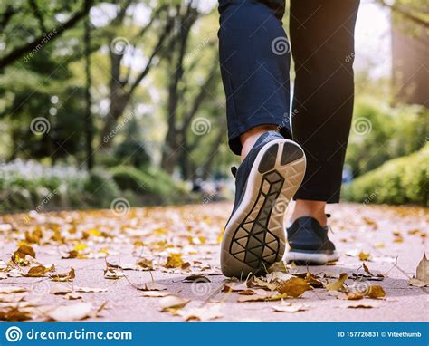 Woman Walk Park Outdoor Morning Exercise Healthy Lifestyle Stock Image