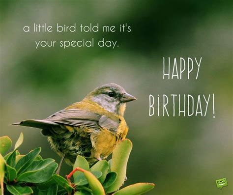 A Little Bird Told Me Its Your Special Day Happy Birthday Happy