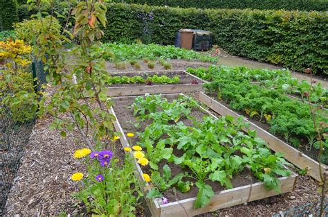 Kellis Northern Ireland Garden Community Gardening Update