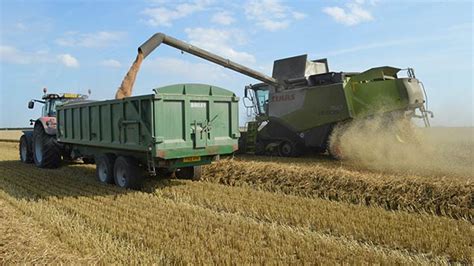 Wheat Yield World Record Shattered In Lincolnshire Farmers Weekly