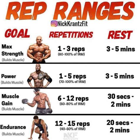 An Info Sheet Shows The Different Types Of Rep Ranges For Each Bodybuil