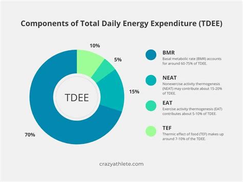 Tdee Calculator Know Your Daily Maintainance Calories