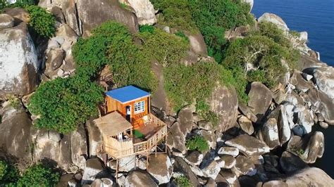 Busybee Cabins Authentic Private Cabins On Top Of The Rocks By The