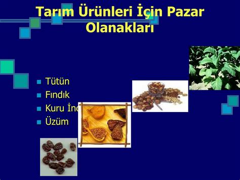 PPT - Türkiye-AB İlişkileri PowerPoint Presentation, free download - ID:4509080
