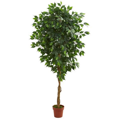 6 Ficus Artificial Tree Nearly Natural