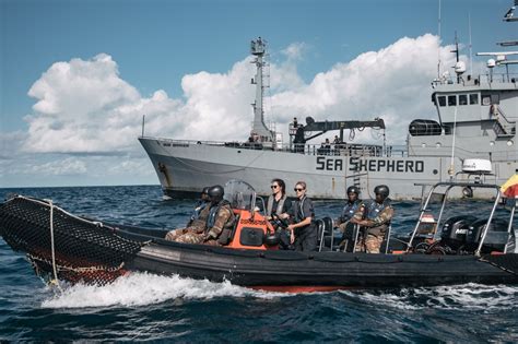 Our Approach Sea Shepherd Conservation Society