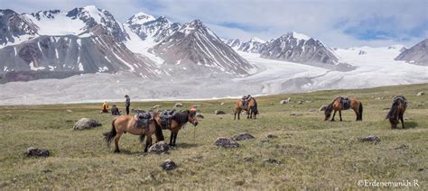 Altai Horse Trekking Zendmen Travel Mongolia