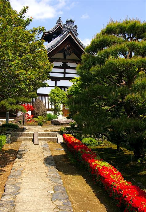 Zengarden olarak şifalı bitkilerden nane türlerini nasıl kullanabiliriz dedik ve sizlere nanelerle yapabileceğiniz birbirinden güzel tavsiyelerde bulunduk. Japanese Zen Garden: Zen Path