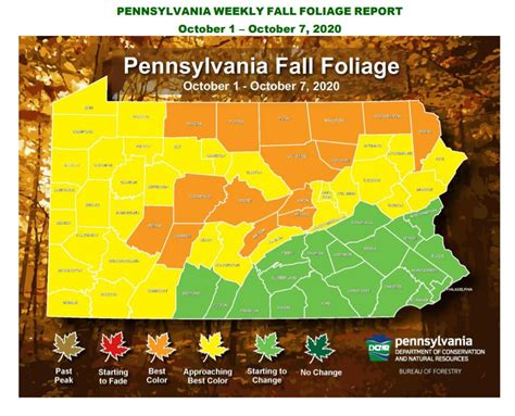 Dcnr Fall Foliage Report Western Pennsylvania Conservancy
