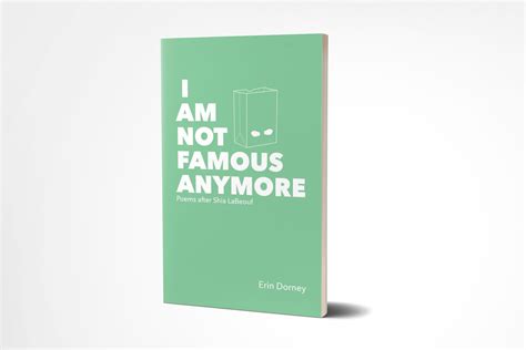 I Am Not Famous Anymore — Erin Dorney