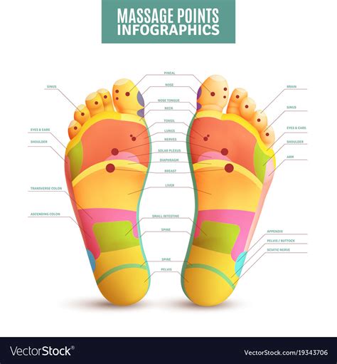Feet Massage Points Infographics Royalty Free Vector Image