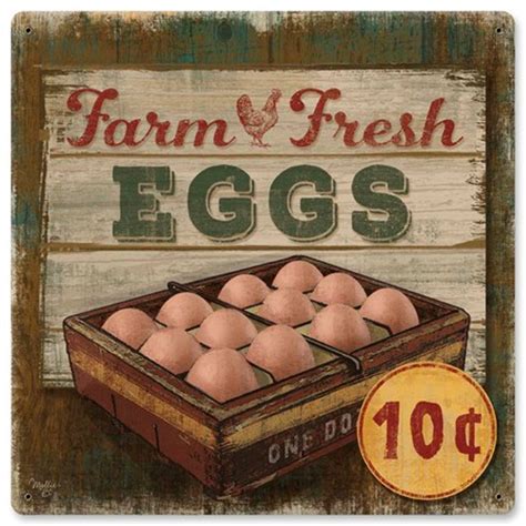 Farm Fresh Eggs Metal Sign 12 X 12 Inches